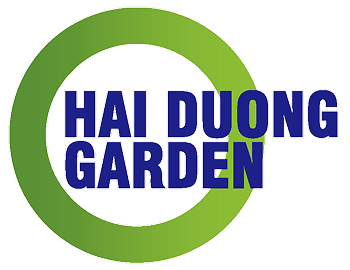 Hai Duong
